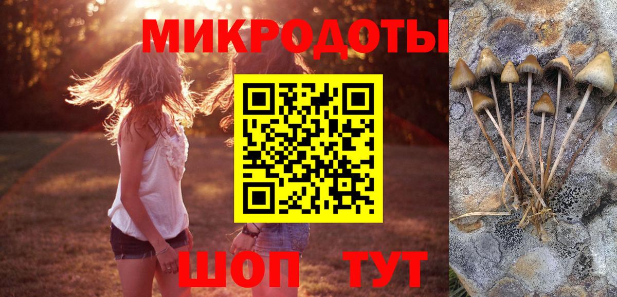Галлюциногенные грибы Psilocybine cubensis  Вход с VPN  Галлюциногенные грибы ЛСД  Амурск 